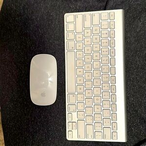 Apple mouse and keyboard.  Great shape.